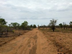 IMG_20161205_080550.jpg IMG_20161205_080550.jpg