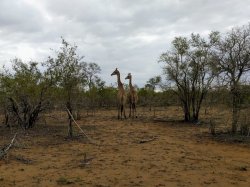 IMG_20161205_081004.jpg IMG_20161205_081004.jpg