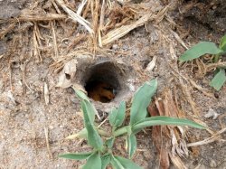 IMG_20161205_083121.jpg IMG_20161205_083121.jpg