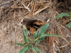 IMG_20161205_083512.jpg IMG_20161205_083512.jpg