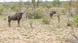 IMG_20161205_084402.jpg IMG_20161205_084402.jpg