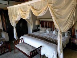 IMG_20161205_111134.jpg IMG_20161205_111134.jpg