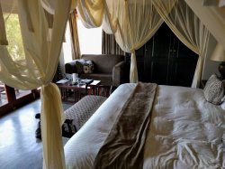 IMG_20161205_111258.jpg IMG_20161205_111258.jpg