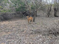 IMG_20161205_145006.jpg IMG_20161205_145006.jpg