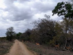 IMG_20161205_165325.jpg IMG_20161205_165325.jpg