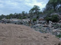 IMG_20161205_181439.jpg IMG_20161205_181439.jpg