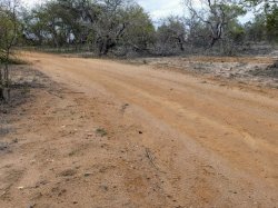 IMG_20161205_172338.jpg IMG_20161205_172338.jpg