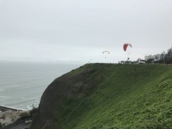 5CD2C181-302C-41DA-A9CB-835850364DDD.jpeg 5CD2C181-302C-41DA-A9CB-835850364DDD.jpeg