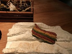 0072C0EB-5AE1-44A5-AB8E-1FC8B0DAB919.jpeg 0072C0EB-5AE1-44A5-AB8E-1FC8B0DAB919.jpeg