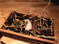 FF1AD705-E01E-4FDD-84EF-4F6F7CAFB9C7.jpeg FF1AD705-E01E-4FDD-84EF-4F6F7CAFB9C7.jpeg