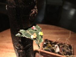 ADA557E9-9F88-4ED6-B553-4A2F71F31B76.jpeg ADA557E9-9F88-4ED6-B553-4A2F71F31B76.jpeg