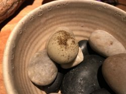 48861425-10B1-4668-9832-F056B6841398.jpeg 48861425-10B1-4668-9832-F056B6841398.jpeg