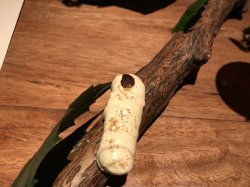 CE542CE5-3D19-4F91-B889-2595E2BCCB1E.jpeg CE542CE5-3D19-4F91-B889-2595E2BCCB1E.jpeg