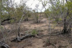 IMG_20161206_054947.jpg IMG_20161206_054947.jpg