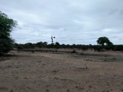 IMG_20161206_065409.jpg IMG_20161206_065409.jpg