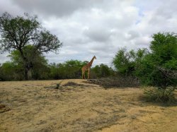 IMG_20161206_080138.jpg IMG_20161206_080138.jpg