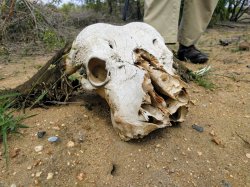 IMG_20161206_094110.jpg IMG_20161206_094110.jpg