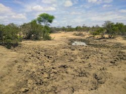 IMG_20161206_100452.jpg IMG_20161206_100452.jpg