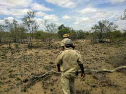 IMG_20161206_101157.jpg IMG_20161206_101157.jpg