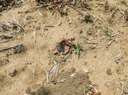 IMG_20161206_101247.jpg IMG_20161206_101247.jpg