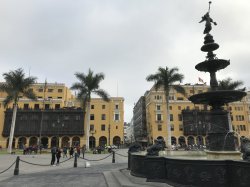 CF6D94FB-54C7-4E47-A361-7ED27EA33ED7.jpeg CF6D94FB-54C7-4E47-A361-7ED27EA33ED7.jpeg