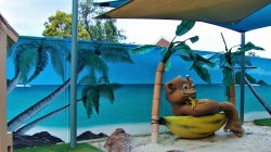 Kids Playground.jpg Kids Playground.jpg