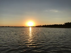 E0A08A29-7DC8-4781-B7AF-6FA4C21F408E.jpeg E0A08A29-7DC8-4781-B7AF-6FA4C21F408E.jpeg