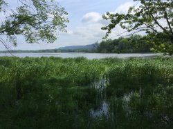 IMG_1528.jpg IMG_1528.jpg