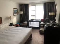 IMG_3740.jpg IMG_3740.jpg