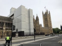 IMG_3706.jpg IMG_3706.jpg