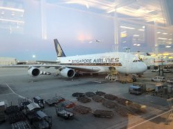 IMG_3833.jpg IMG_3833.jpg