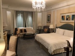 IMG_3934.jpg IMG_3934.jpg