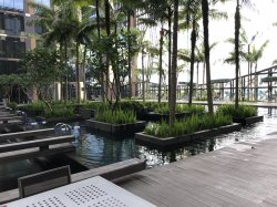 IMG_4010.jpg IMG_4010.jpg