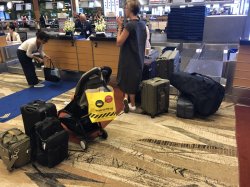 IMG_4020.jpg IMG_4020.jpg