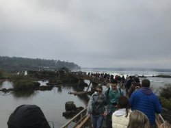 91587D17-472F-41BD-A02A-5949E82769D8.jpeg 91587D17-472F-41BD-A02A-5949E82769D8.jpeg