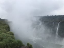 F695D04D-6479-40DC-A862-92BBA6919000.jpeg F695D04D-6479-40DC-A862-92BBA6919000.jpeg