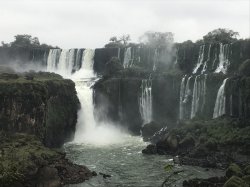 DBA859ED-2BCC-47B4-84DE-8BA1813809FA.jpeg DBA859ED-2BCC-47B4-84DE-8BA1813809FA.jpeg