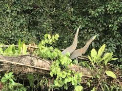 8ABEBA3B-4F5F-4F0A-B334-A05A40CB3E07.jpeg 8ABEBA3B-4F5F-4F0A-B334-A05A40CB3E07.jpeg