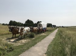 5FE624A3-768E-40F2-BCAF-664ADEEBA049.jpeg 5FE624A3-768E-40F2-BCAF-664ADEEBA049.jpeg