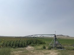 F005EB64-46E6-40B6-9FB7-3363DE3E0498.jpeg F005EB64-46E6-40B6-9FB7-3363DE3E0498.jpeg