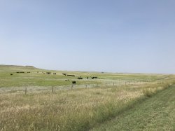 9BC58E2D-1222-4EEA-9F51-1D71078DB02B.jpeg 9BC58E2D-1222-4EEA-9F51-1D71078DB02B.jpeg