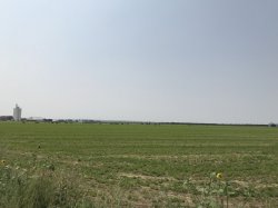 E444382D-576F-4A19-924B-6308F3E2BBE5.jpeg E444382D-576F-4A19-924B-6308F3E2BBE5.jpeg