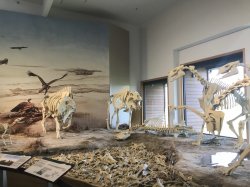 8B9759F5-355B-4C3D-8A3B-BCED67ECEA3D.jpeg 8B9759F5-355B-4C3D-8A3B-BCED67ECEA3D.jpeg