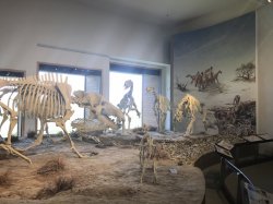 976F0BCE-DF1D-4FBF-B27E-80B1A384059E.jpeg 976F0BCE-DF1D-4FBF-B27E-80B1A384059E.jpeg