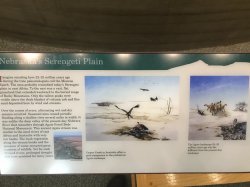 D3DB2EA1-3806-4203-952B-B384722B975B.jpeg D3DB2EA1-3806-4203-952B-B384722B975B.jpeg