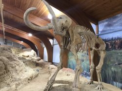 75339A0F-471F-4A82-BE16-07B9DB5509F4.jpeg 75339A0F-471F-4A82-BE16-07B9DB5509F4.jpeg