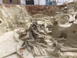 5E7C3823-A67B-49BD-A9AA-6D1F9739F103.jpeg 5E7C3823-A67B-49BD-A9AA-6D1F9739F103.jpeg