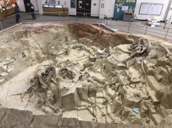 95884D99-F278-469D-BB1F-E3A0681AEA92.jpeg 95884D99-F278-469D-BB1F-E3A0681AEA92.jpeg