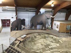 4E8E8BFD-CA72-4A3B-BB94-81F82B156624.jpeg 4E8E8BFD-CA72-4A3B-BB94-81F82B156624.jpeg