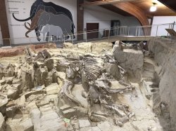 78A52520-AF9E-4FC2-99BF-1A97EAAEB0C7.jpeg 78A52520-AF9E-4FC2-99BF-1A97EAAEB0C7.jpeg